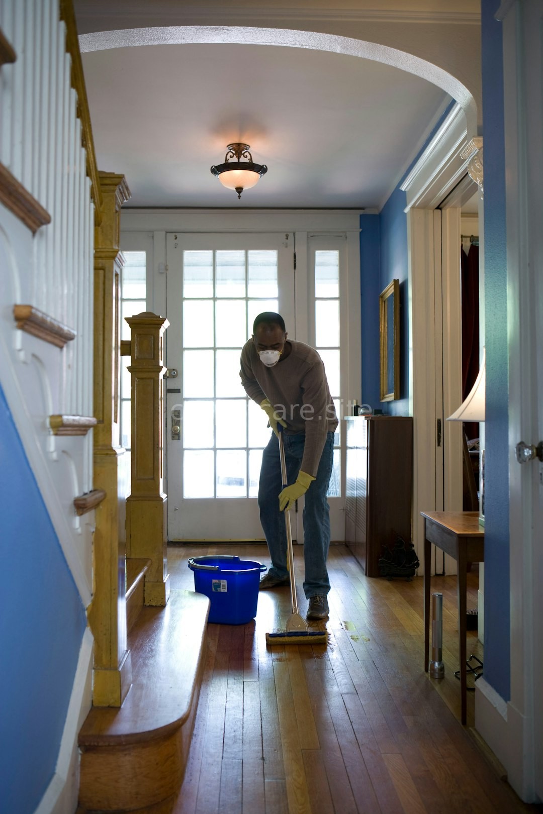 Carpet Cleaning